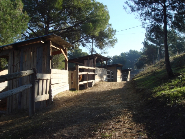  Paddock Area 